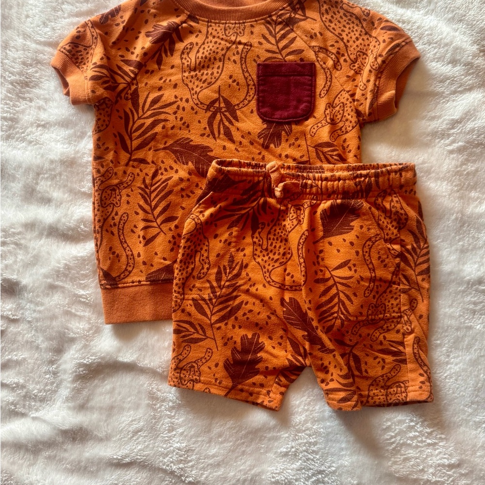 Cat & Jack Orange and Maroon Toddler Outfit